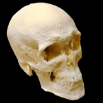 Wydruki 3D